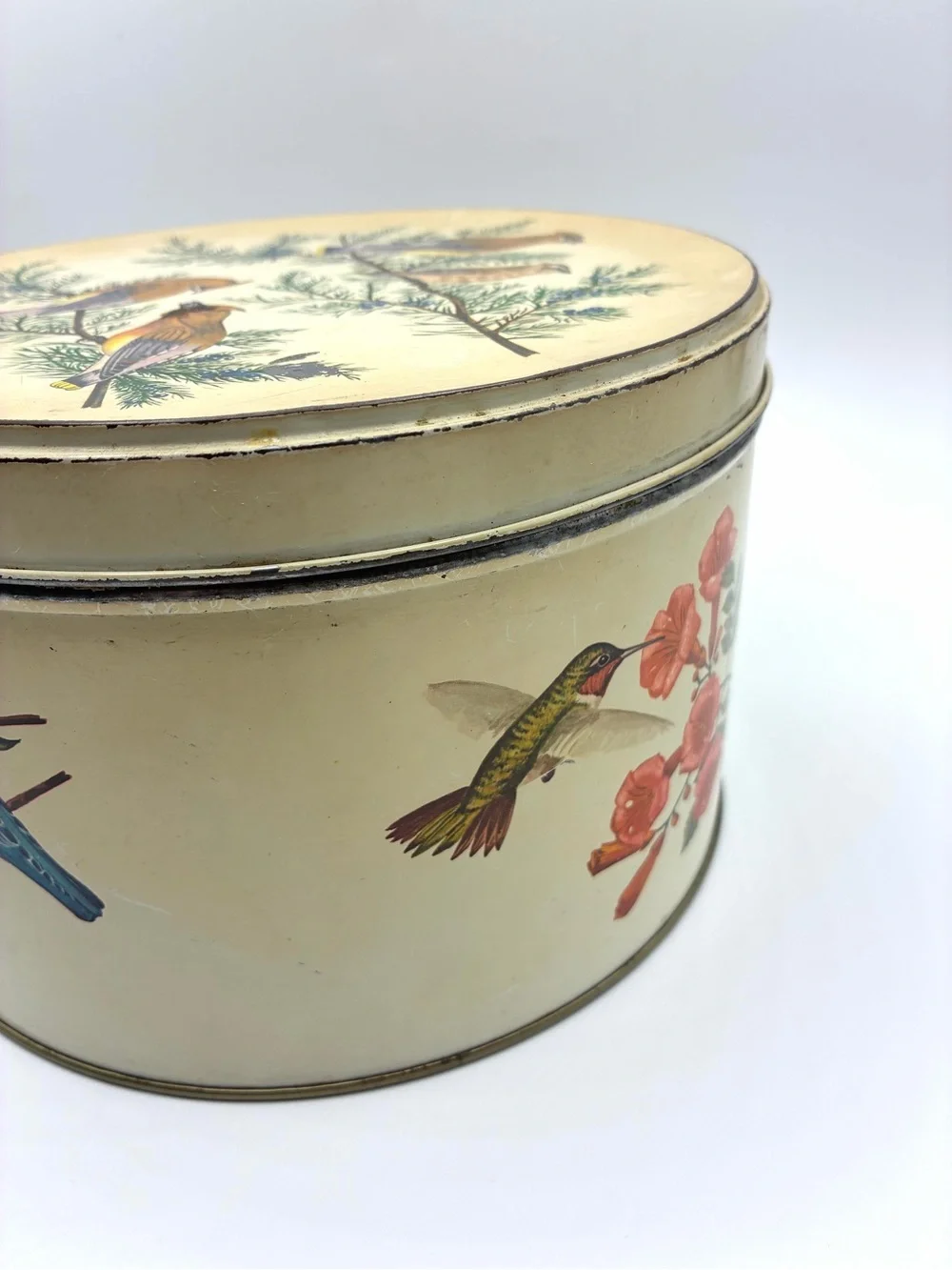 Vintage Tom Sturgis Bird Tin Round Metal Storage Box Cottagecore